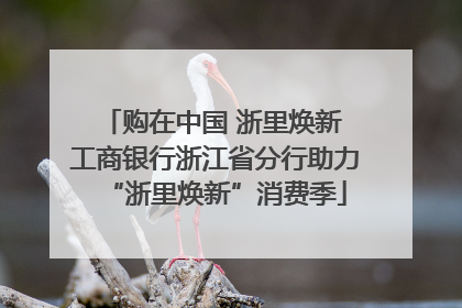 购在中国 浙里焕新 工商银行浙江省分行助力“浙里焕新”消费季